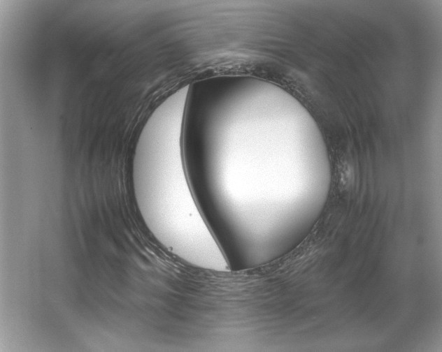 X0000067950964200604131158