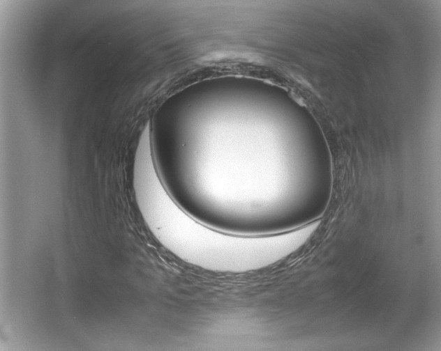 X0000067950965200604131158