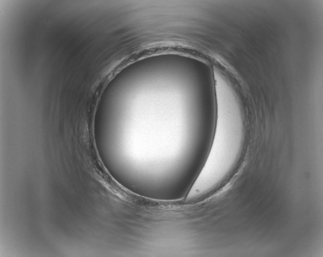 X0000067950969200604131158