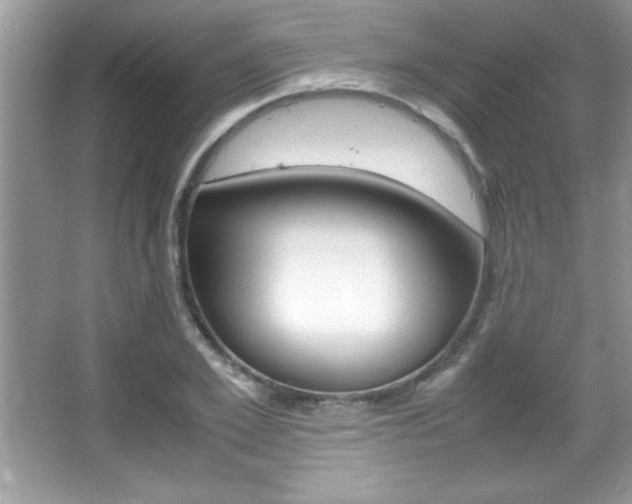 X0000067950981200604131158