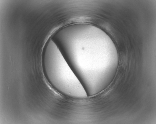 X0000067950986200604131158