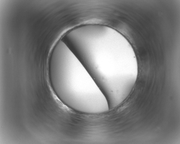 X0000067951000200604131158