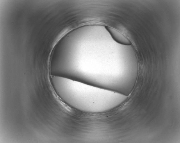 X0000067951002200604131158