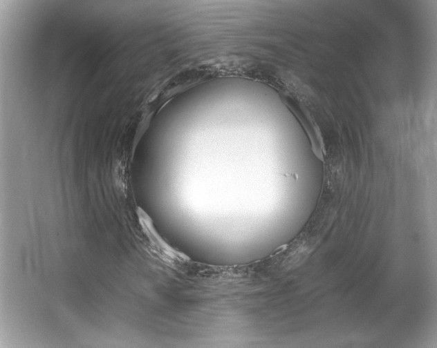 X0000067951010200604131157