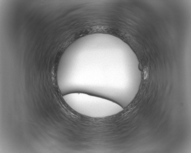 X0000067951011200604131157