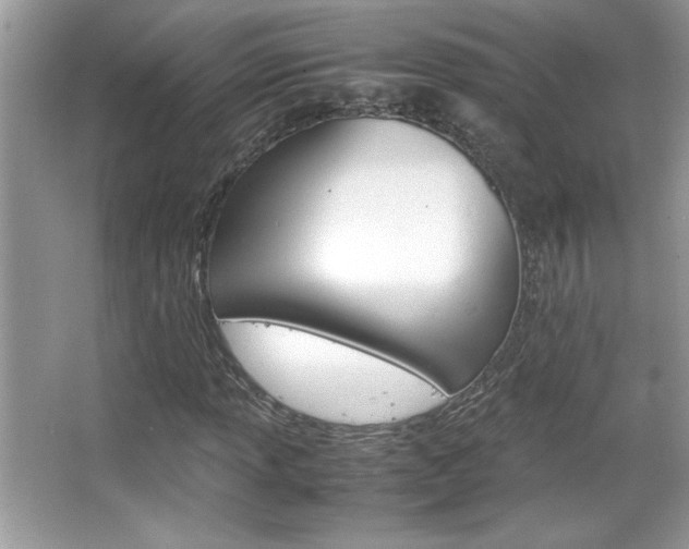 X0000067951013200604131157