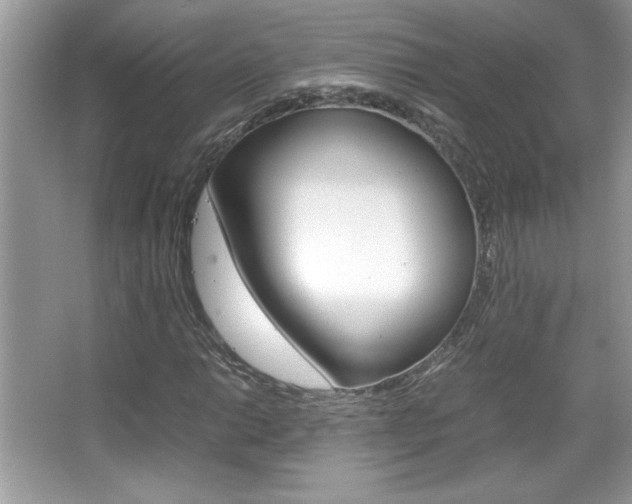 X0000067951014200604131157