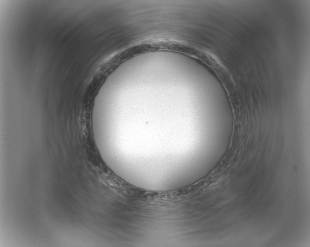 X0000067951016200604131157