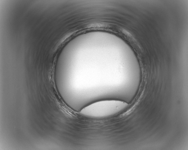 X0000067951017200604131157