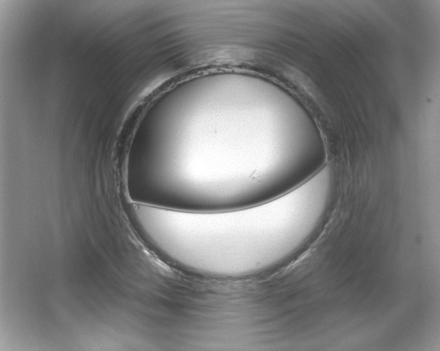 X0000067951018200604131157