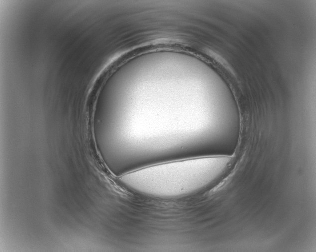 X0000067951021200604131157