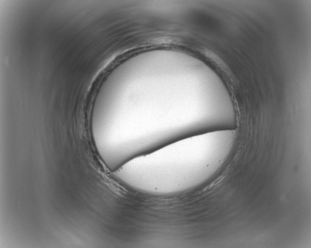 X0000067951023200604131157