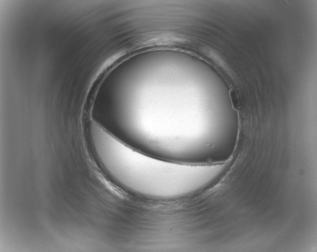 X0000067951026200604131157