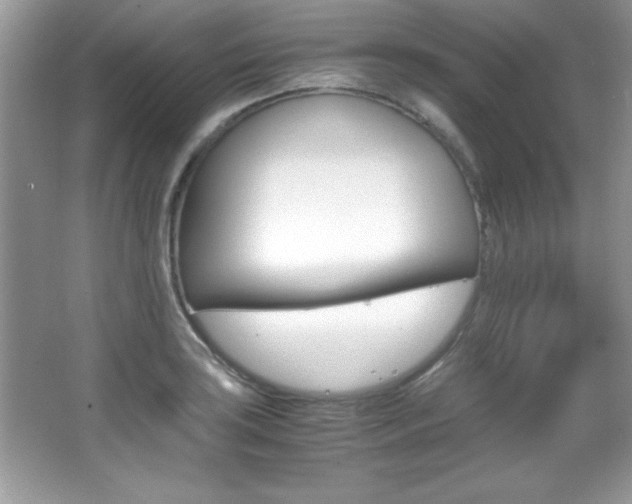 X0000067951035200604131157