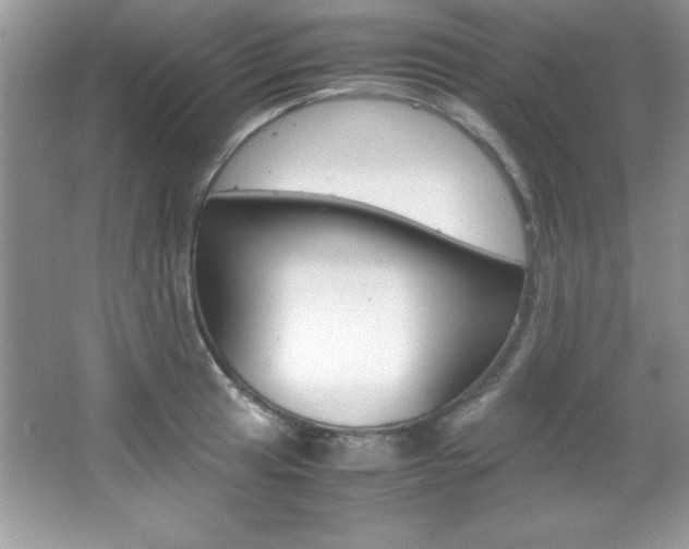 X0000067951041200604131157