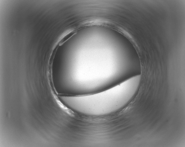 X0000067951042200604131157