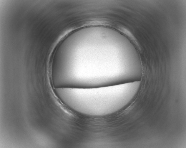 X0000067951043200604131157