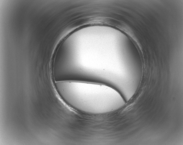 X0000067951045200604131158