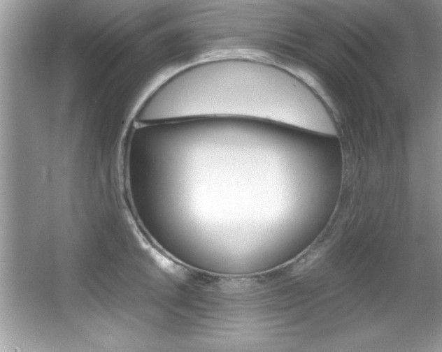 X0000067951046200604131158
