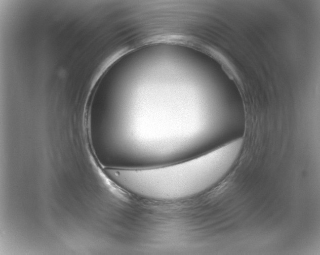 X0000067951050200604131158