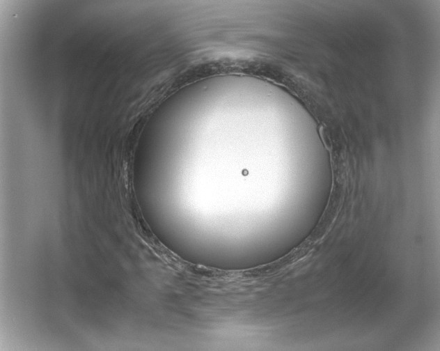 X0000067951061200604131157
