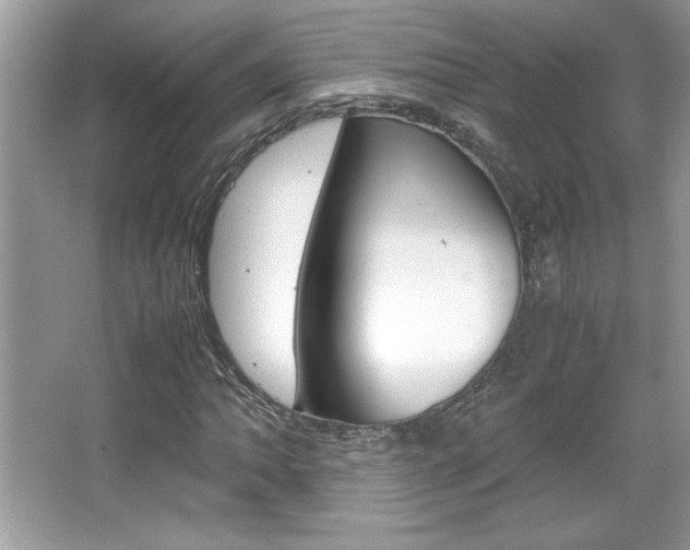 X0000067951062200604131157