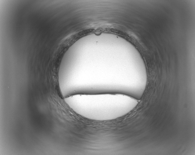 X0000067951063200604131157