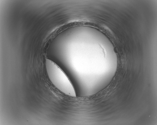 X0000067951064200604131157