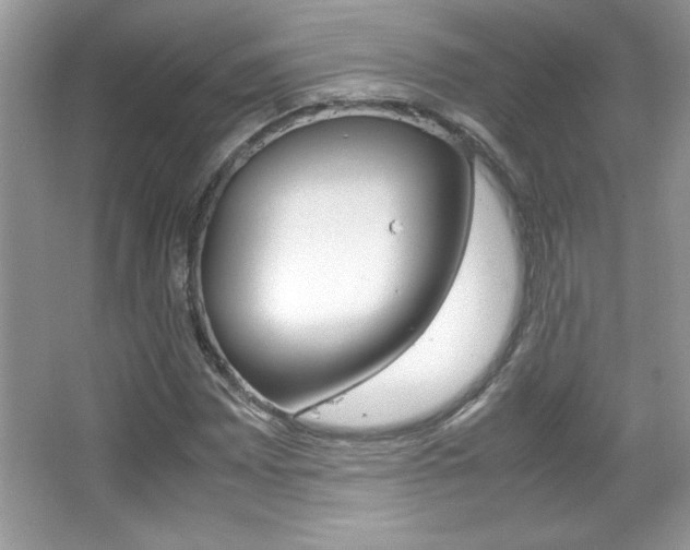 X0000067951065200604131157