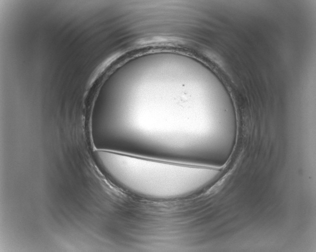 X0000067951066200604131157