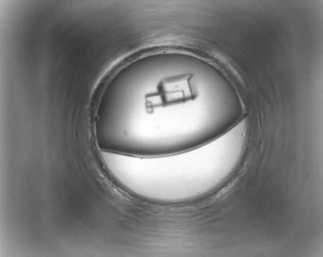 X0000067951069200604131157
