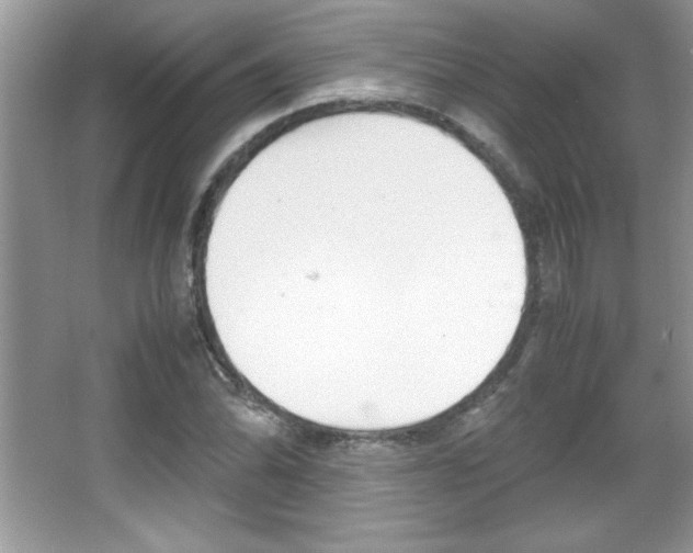 X0000067951070200604131157