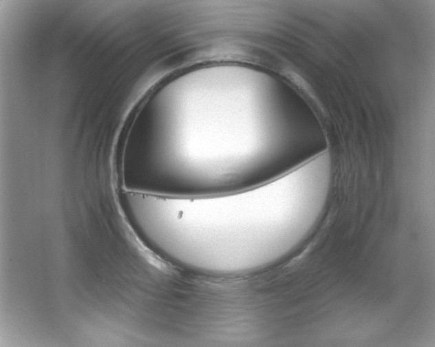 X0000067951082200604131156