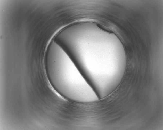 X0000067951092200604131156