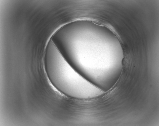 X0000067951100200604131156