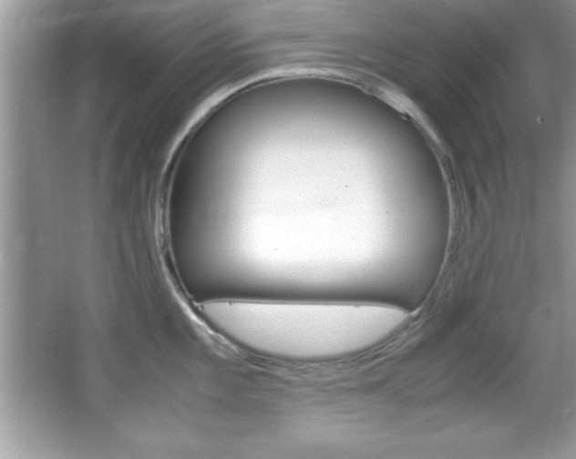 X0000067951101200604131156