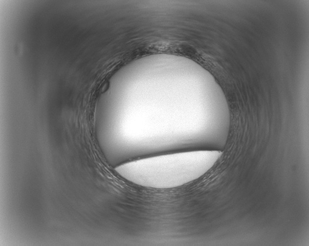 X0000067951105200604131155