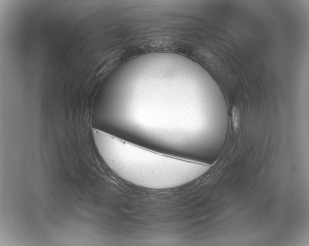 X0000067951107200604131155