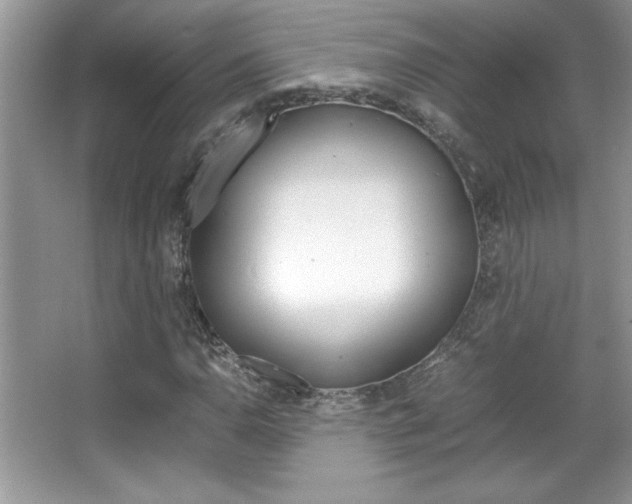 X0000067951110200604131155