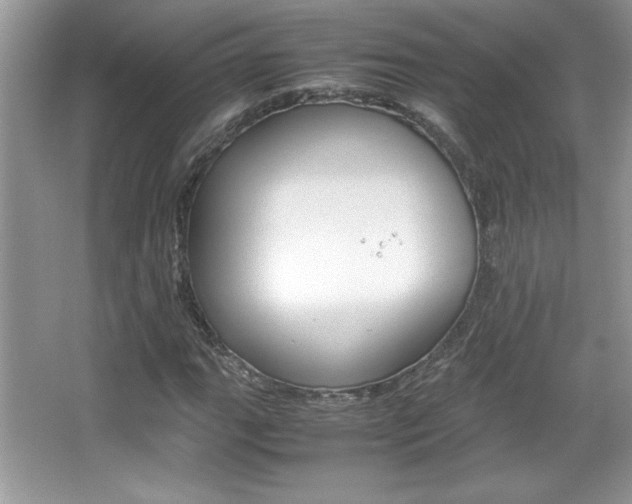 X0000067951111200604131155