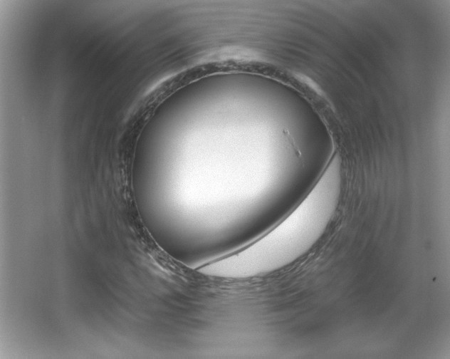 X0000067951112200604131155