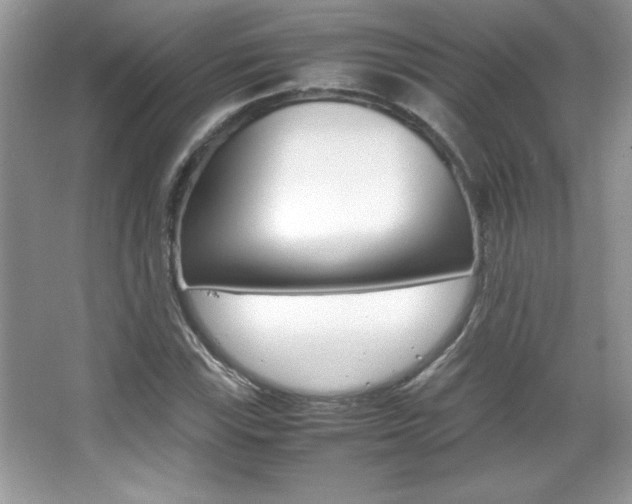 X0000067951115200604131155