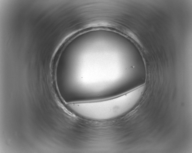 X0000067951116200604131155