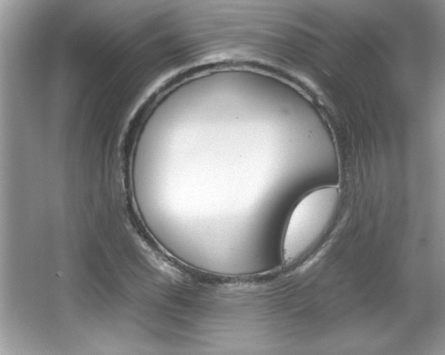 X0000067951118200604131156