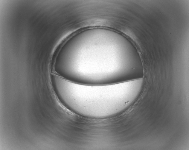 X0000067951120200604131156