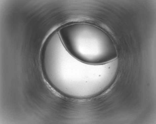 X0000067951122200604131156