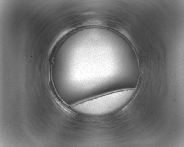 X0000067951123200604131156