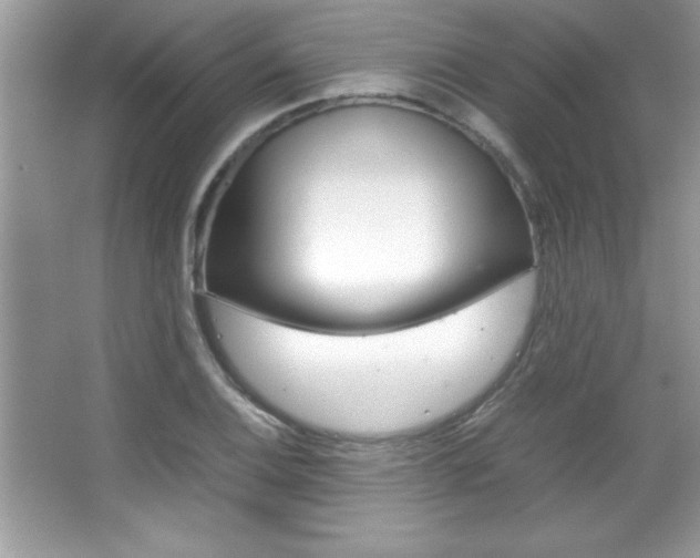 X0000067951124200604131156