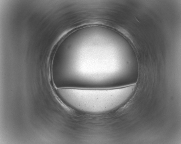X0000067951127200604131156