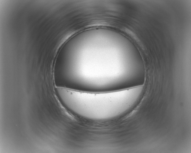 X0000067951129200604131156